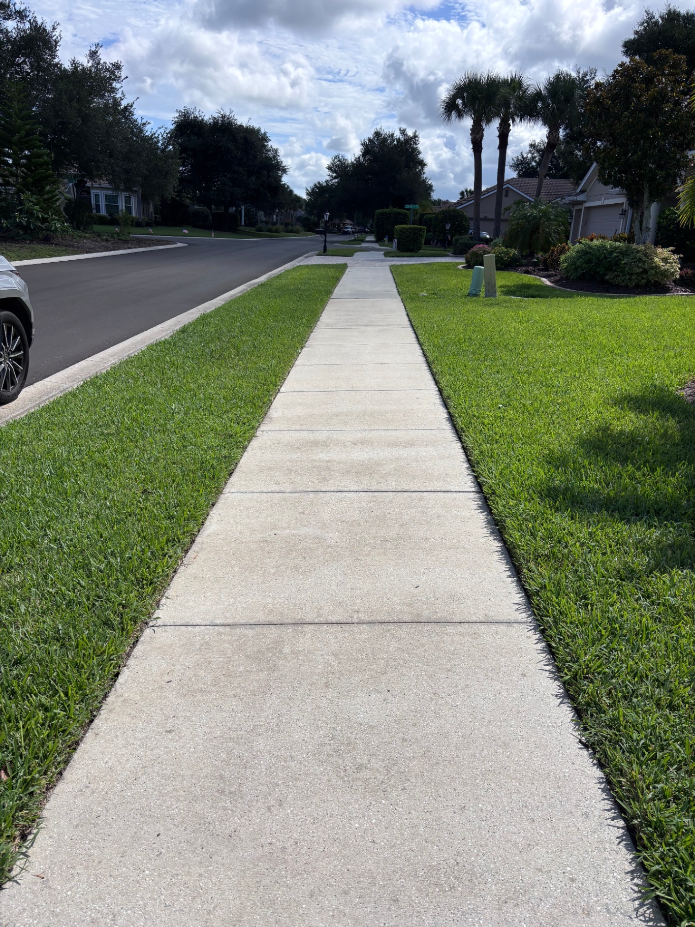 Pressure Washing