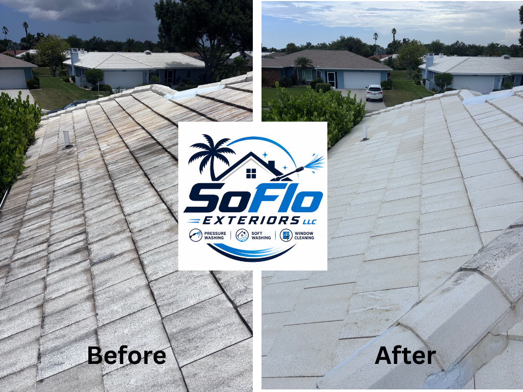 Roof Washing